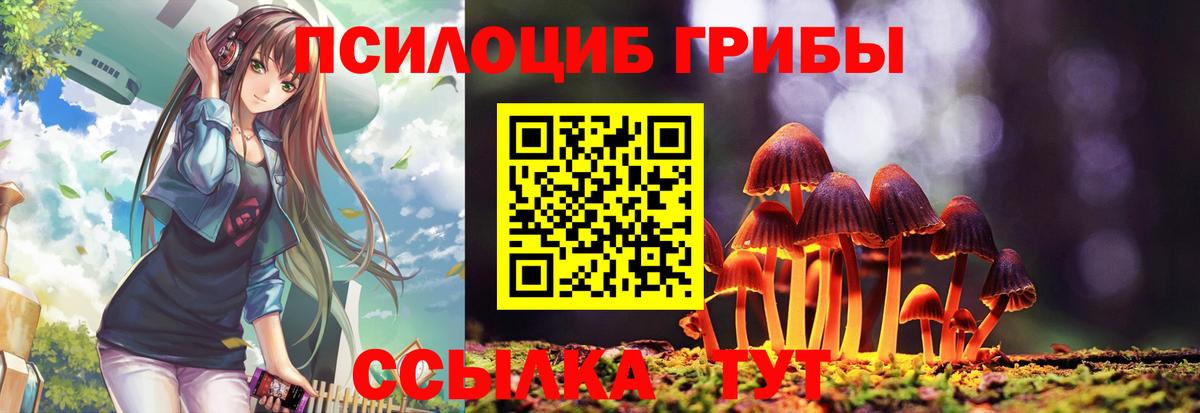 Псилоцибиновые грибы MAGIC MUSHROOMS Черняховск