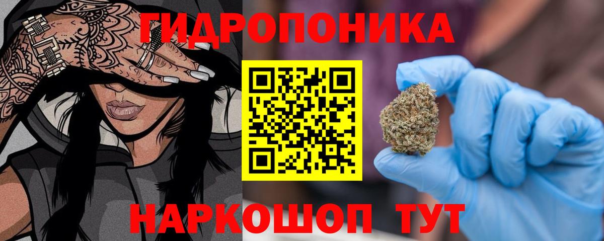 Бошки марихуана сатива  Канабис планчик  Вход с VPN  Марихуана семена  Канабис Ganja  Черняховск 